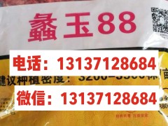 2022-2021年高產玉米種子都有哪些 (0?)