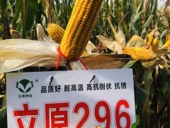 立原296田間表現 (1362播放)