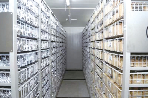 北京市農作物種質資源庫揭牌 北京市農作物種質資源庫揭牌