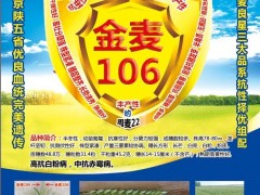 金麥106小麥新品種，誠招適宜區域代理商