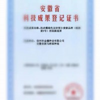 皖新麥5號小麥新品種，誠招適宜區域代理商