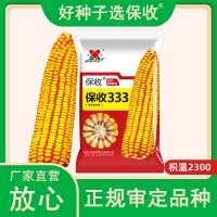 廠家直營批發高產雜交大田玉米種子保收333