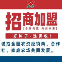 高產玉米種子誠招全國經銷商、合作社、家庭農場共同發展