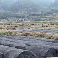 浙江眾扶農業，湖州眾扶發展，湖州茶園加盟，浙江茶山加盟