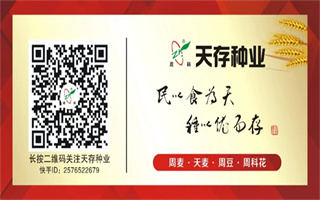 熱烈祝賀！全新周麥27號、天麥系列“糧王”誕生！