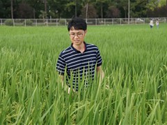 王克劍：固定雜種優勢，降低制種成本！