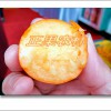簡介: