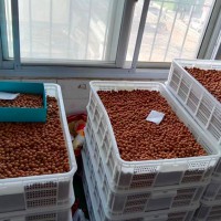 供應水晶核猴頭核桃串珠原料