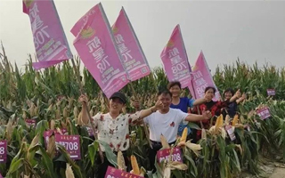 【名企】河南省天中種子有限責任公司