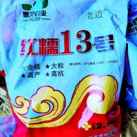 最高產糯高粱種子紅糯13號高粱種子