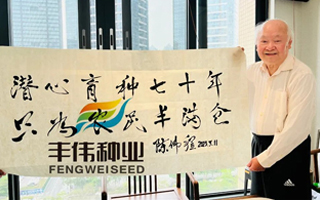 豐偉種業“凝心聚力謀發展 奮楫楊帆新征程”戰略發展大會