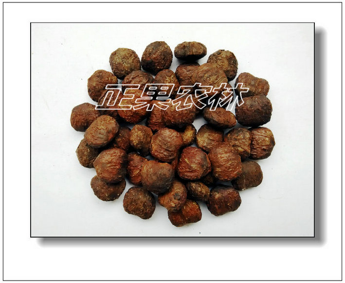 千年桐 (2)