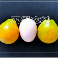 融安脆蜜金柑種植參考--融安正果農林