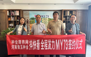 抖快看全程發力玉米大單品流量增長成功簽約