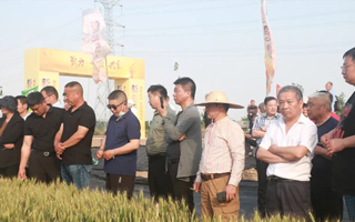 江蘇金土地種業“新麥58”新品發布會隆重召開