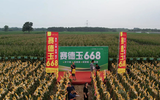 鑫玉農807&賽德玉668“炫動”黃淮營銷峰會圓滿舉行