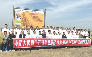 高產優質新品種中農粳11現場觀摩會舉行