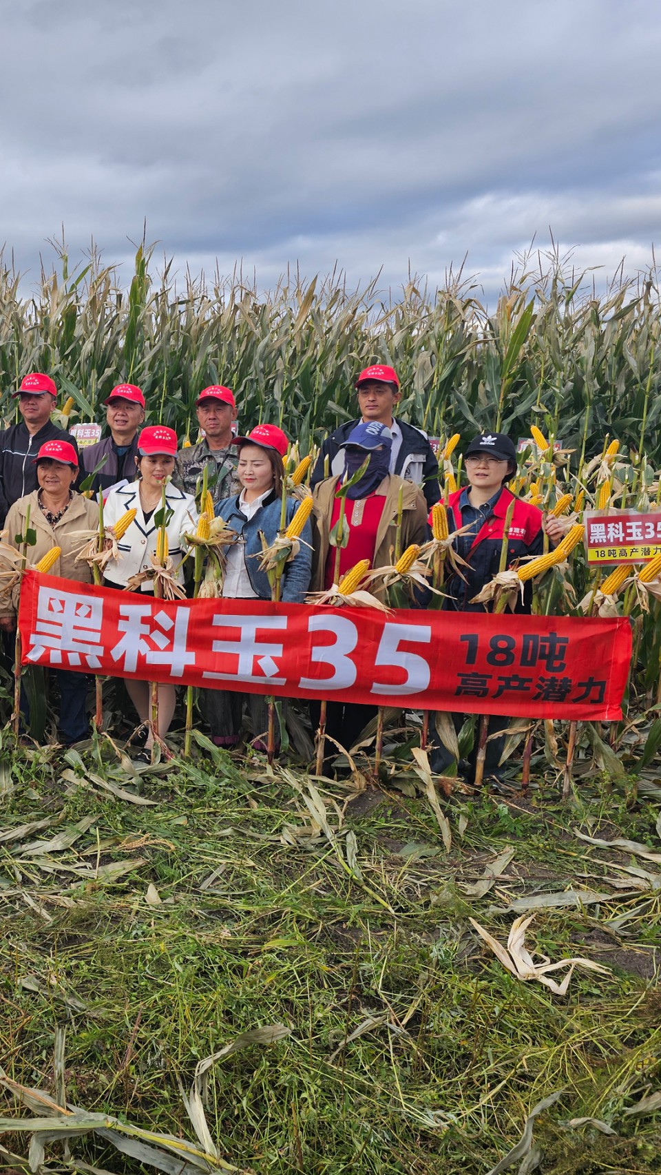 未標題-5