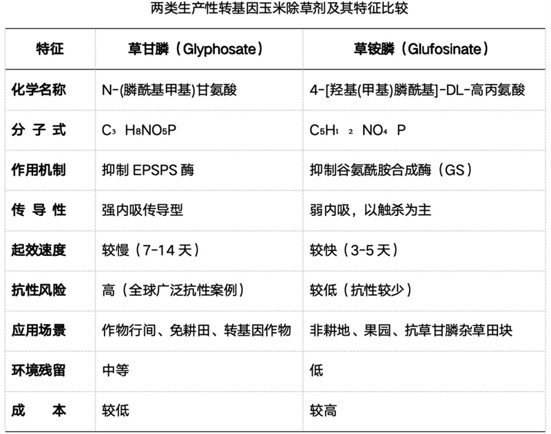 640.webp (2)