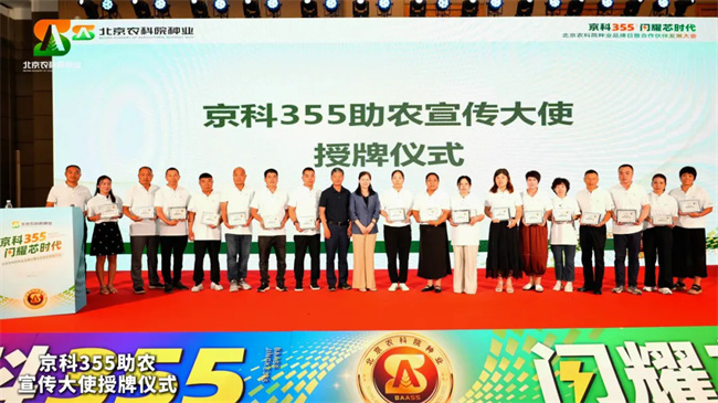 640.webp (7)