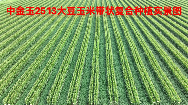 640.webp (10)