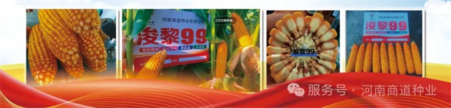 640 (1)