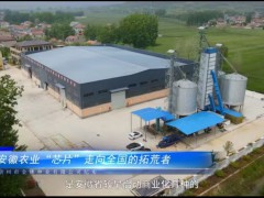 安徽農業“芯片”走向全國的拓荒者~宿州市金穗種業有限公司 (308播放)